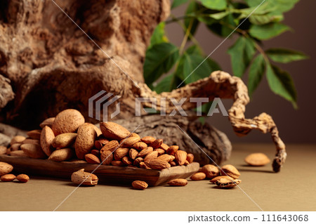 Still life with fresh-cropped almonds and old snags. 111643068