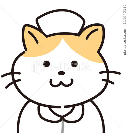 Cat/nurse wearing nurse uniform 111643153