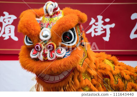 Supple lion dance Supple lion dance 111643440