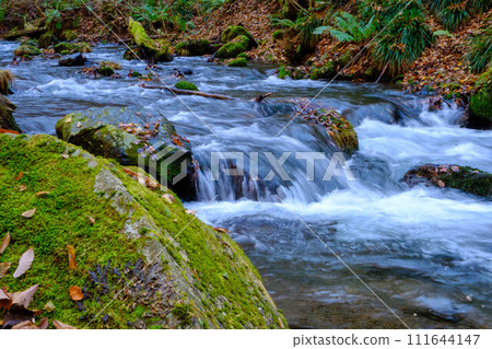 White water stream and moss-covered rocks 111644147
