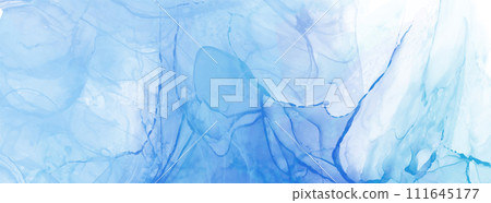 Elegant banner template design with color paint. Elegant banner template design with color paint. 111645177