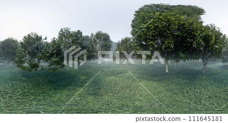 Green meadow forest Scene Captured at Dusk With Lush Trees and Gentle Mist 360 panorama vr environment map Green meadow forest Scene Captured at Dusk With Lush Trees and Gentle Mist 360 panorama vr environment map 111645181