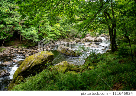 River Conwy And Woodland Near Village Betws-y-Coed In Snowdonia National Park In Wales, United Kingdom River Conwy And Woodland Near Village Betws-y-Coed In Snowdonia National Park In Wales, United Kingdom 111646924