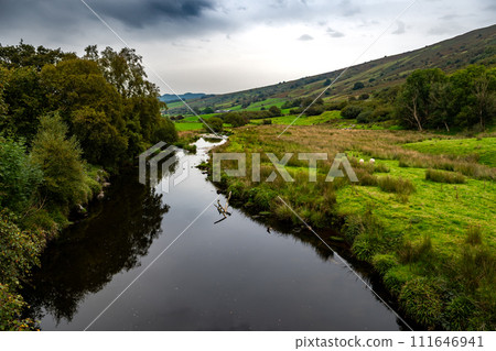 Rural Landscape With River Conwy And Sheep In Snowdonia National Park in North Wales, United Kingdom 111646941