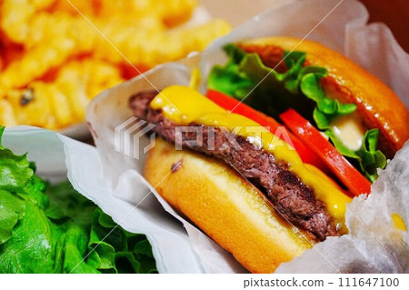 Hamburger and fries Hamburger and fries 111647100