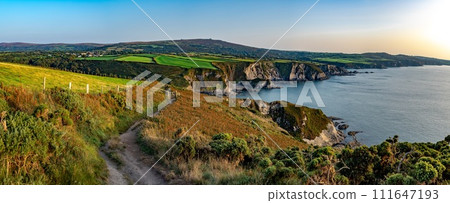 Coastal Path At The Wild Atlantic Coast Of Dinas Head In Pembrokeshire In Wales, United Kingdom 111647193