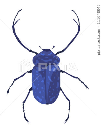 Rosalia batesi longhorn black-blue bug icon. Exotic beetle with long antennae and legs. Rosalia alpina entomology unusual insect illustration 111648043