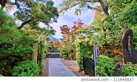 Kyoto Arashiyama Tenryuji Temple Sanshuin Garden Kyoto Arashiyama Tenryuji Temple Sanshuin Garden 111648837