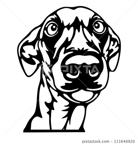 Peeking Fox Terrier Smooth - Dog lover owner gift - Dog cut file - Peeking Dog Cut Stencil 111648920