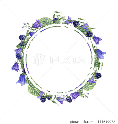 Round frame with Ripe Blackberries, meadow oats, blue harebells. Berries, campanula, avena. Dewberry, bramble. Watercolor illustration. For template package greetings. Space for text 111649072