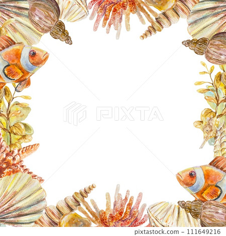 Frame with watercolor fish, shells, corals. Illustration isolated on a white background. Cards, sea banners, labels, templates, invitations. 111649216