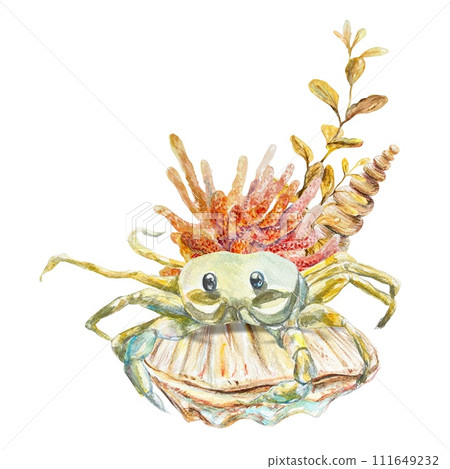 Yellow crab, coral, shell, watercolor. Illustration on a marine theme, isolated on a white background. Cards, sea banners, labels, aquarium templates. 111649232