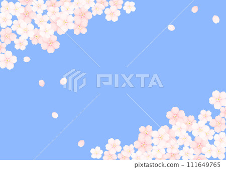 Cherry Blossom	 111649765