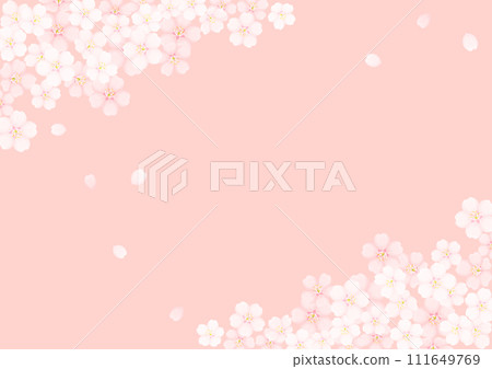 Cherry Blossom	 111649769