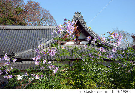 滋賀縣大津市比叡山里坊志賀音門跡坂本 滋賀縣大津市比叡山里坊志賀音門跡坂本 111649803