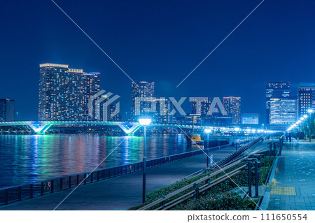 [Night view material] Night view of Tokyo seen from Toyosu Gururi Park [Tokyo] 111650554