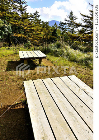 丹澤姬路展望台：黃色落葉松與白嶽山 111650938