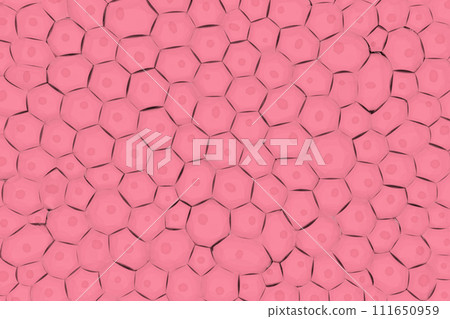 多個細胞的圖像 111650959