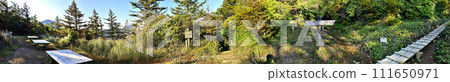 Panorama of Himetsugu Observation Deck in Tanzawa autumn leaves 111650971