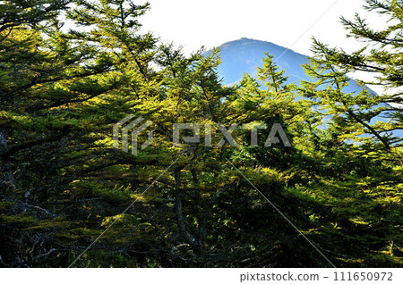 View of Mt. Hirugatake from Himetsugu Observation Deck in Tanzawa Autumn Leaves 111650972