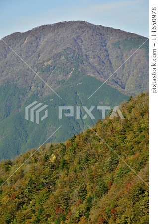 秋葉的丹澤山，從姬次眺望大室山 111650978