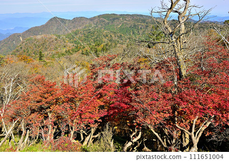 丹澤山地的日嶽山，透過白屋鹽的秋葉可以看到袖平山和姬繼山。 111651004