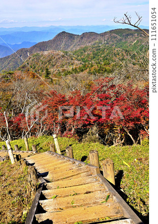 秋天的丹澤山脈，丹澤主脈，透過白色棕櫚樹的秋葉欣賞北丹澤的景色 111651054