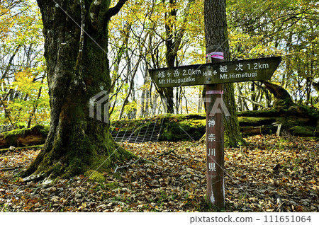 丹澤山脈的白岳、丹澤本線的地藏平路標 丹澤山脈的白岳、丹澤本線的地藏平路標 111651064