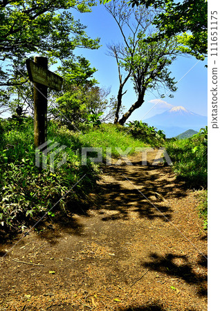 Mt. Fuji towering at the end of the traverse at the summit of Mt. Fudonomine in Tanzawa Mt. Fuji towering at the end of the traverse at the summit of Mt. Fudonomine in Tanzawa 111651175