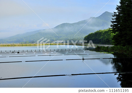 Oshino Village, Yamanashi Prefecture, from the infield irrigation pond, Shakushiyama and Konokami Oshino Village, Yamanashi Prefecture, from the infield irrigation pond, Shakushiyama and Konokami 111651195