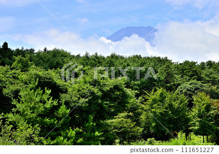 從山梨縣忍野村的雲層中看到的富士山 111651227