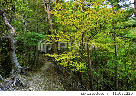 丹澤的八丁坂之綾，秋色八丁坂路線的山脊線 111651229