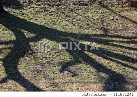 Leaves shadow Leaves shadow 111651241