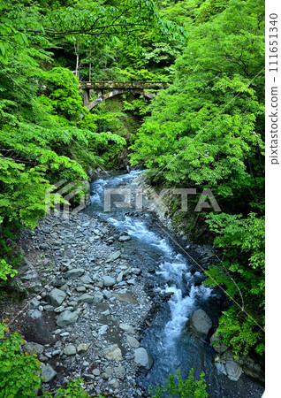 復古老瀨戶橋橫跨丹澤本谷川山脈 復古老瀨戶橋橫跨丹澤本谷川山脈 111651340