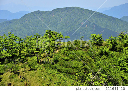 從丹澤山地不動峰看到的青山、山梨百名山之一的大室山 111651410