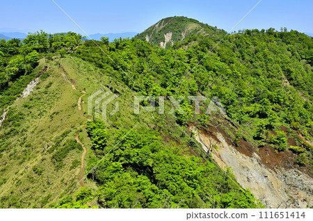 從丹澤山脈的不動峰眺望丹澤的綠色主脈白山 從丹澤山脈的不動峰眺望丹澤的綠色主脈白山 111651414