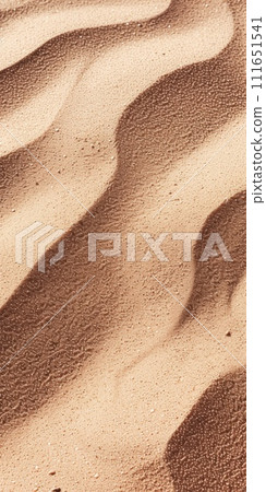 AI-generated content. Wavy sea sand background. 111651541