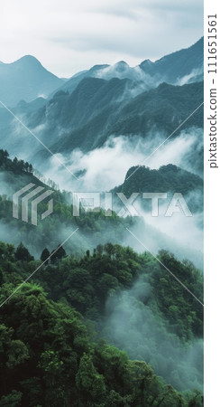 AI-generated content. Misty foggy mountain landscape with fir forest and copy space.  111651561