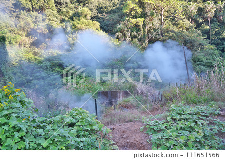 [Eel Onsen (Steam gushes out from everywhere)] Yamakawa Narukawa, Ibusuki City, Kagoshima Prefecture 111651566