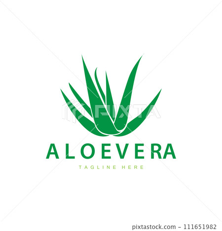 aloe vera logo cosmetic design simple green plant health symbol vector illustration 111651982