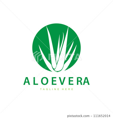aloe vera logo cosmetic design simple green plant health symbol vector illustration 111652014
