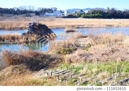 River scenery, Arakawa main stream, winter scenery on the riverbed, near Hanazono Mizube Park River scenery, Arakawa main stream, winter scenery on the riverbed, near Hanazono Mizube Park 111652610