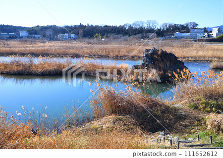 River scenery, Arakawa main stream, winter scenery on the riverbed, near Hanazono Mizube Park River scenery, Arakawa main stream, winter scenery on the riverbed, near Hanazono Mizube Park 111652612