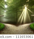 A forest path that splits into two A forest path that splits into two 111653061