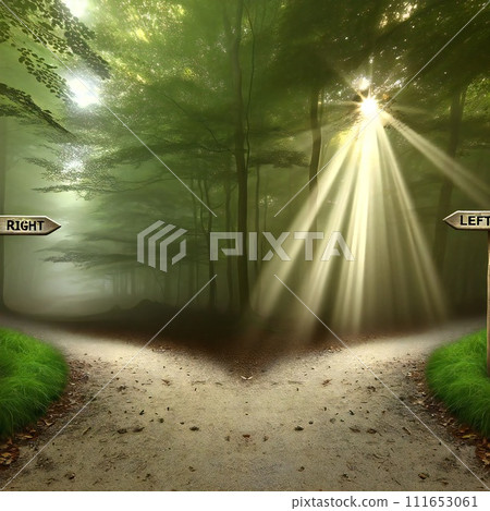 A forest path that splits into two A forest path that splits into two 111653061