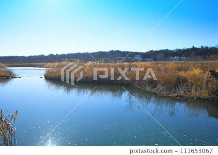 河川風景、荒川幹流、河床上的冬季風景、花園水邊公園附近 河川風景、荒川幹流、河床上的冬季風景、花園水邊公園附近 111653067