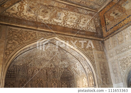 印度阿格拉的阿格拉堡 111653363