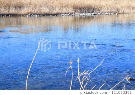 河流風景、鳥瀨、荒川幹流、河床上的冬季風景、花園水邊公園附近 111653391