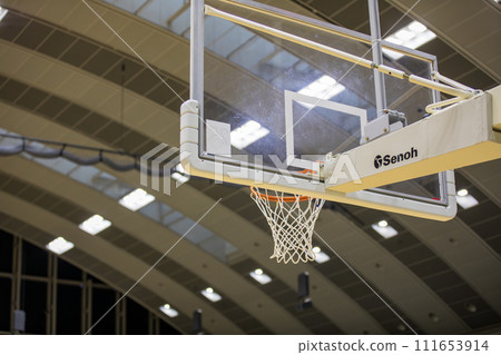 Landscape with a basketball goal 111653914