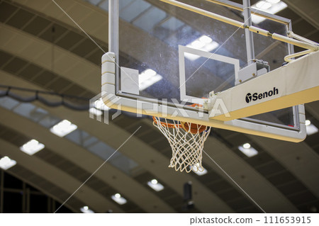 Landscape with a basketball goal 111653915